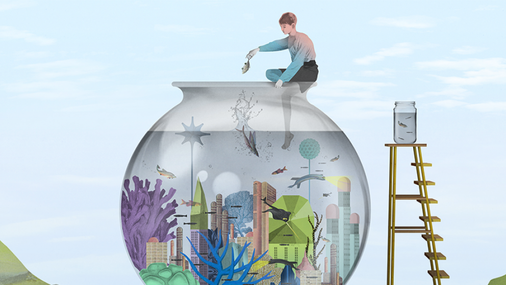 illustration, stort utomhusakvarium med stad och fiskar i, person släpper ner fisk
